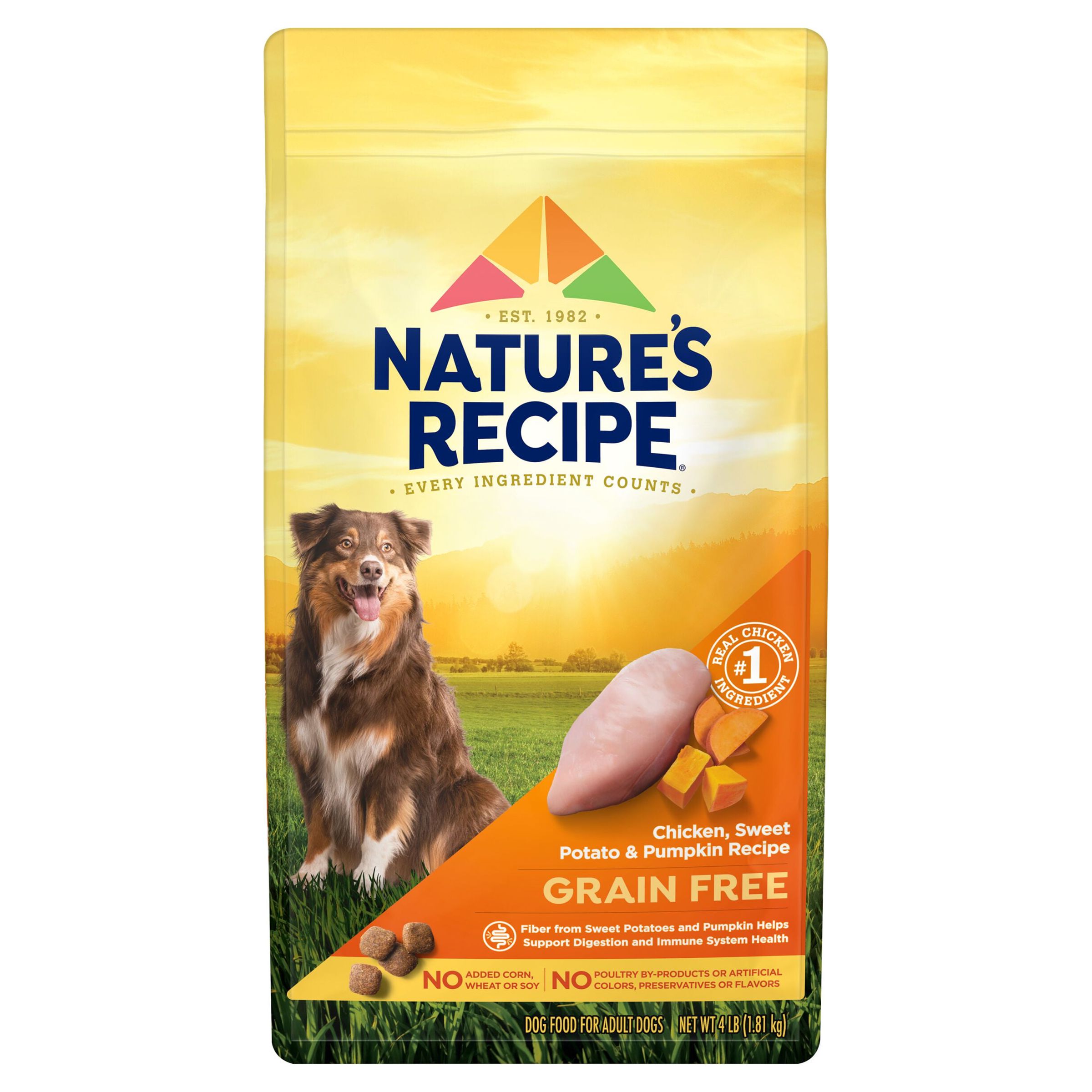 Nature's Logic Chicken Meal Feast Dry Dog Food, 15.4 Lb