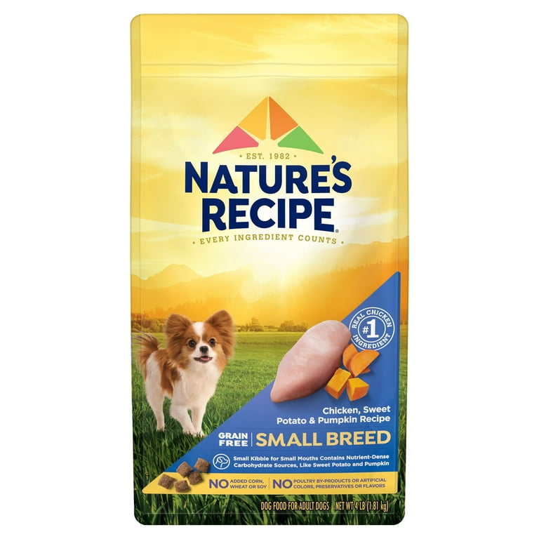 Pumpkin salmon 2025 dog food