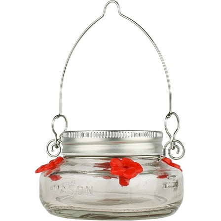 Nature's Way Bird Products MJF1 Nature's Way Mason Jar Hummingbird Dish Feeder, Clear