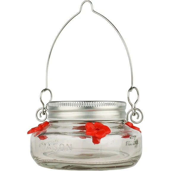 Nature's Way Bird Products MJF1 Nature's Way Mason Jar Hummingbird Dish Feeder, Clear