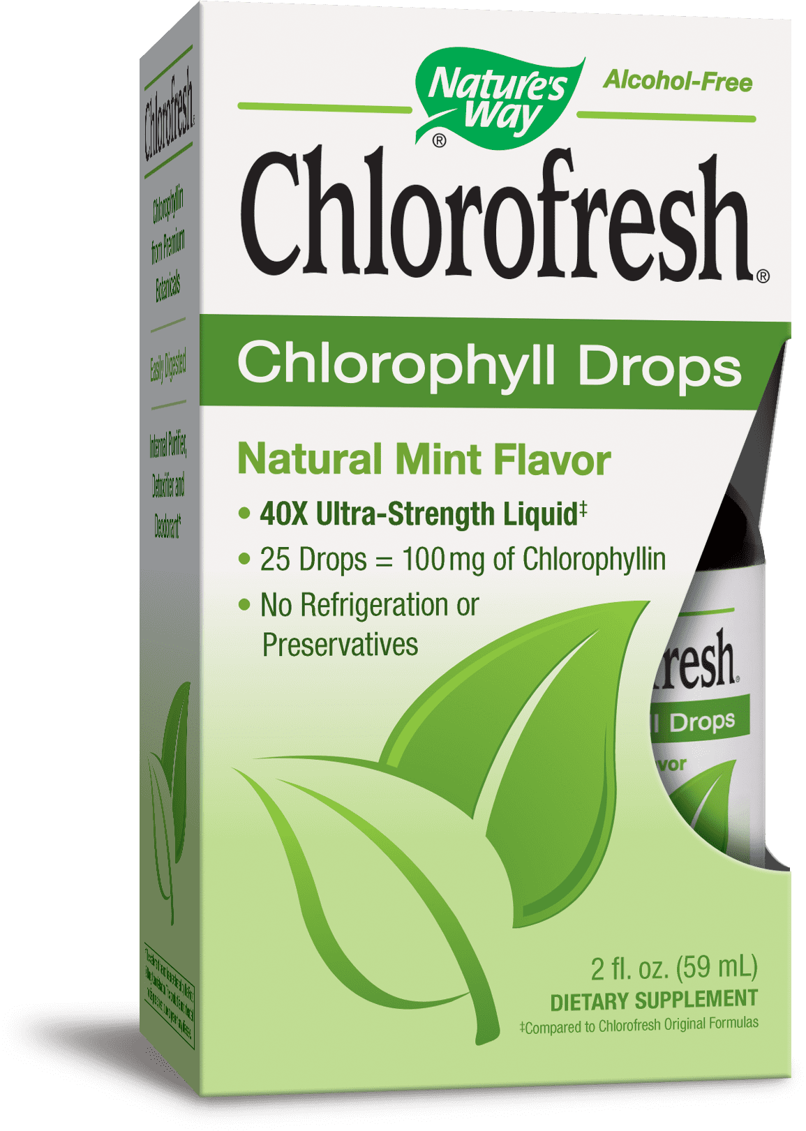Nature's Way Chlorofresh Chlorophyll Drops Natural Mint 2 fl oz