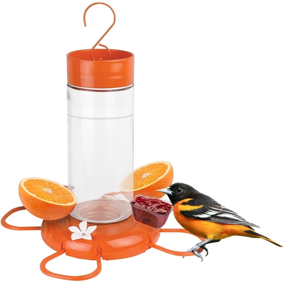 Nature's Way Hanging Glass Oriole Feeder - 30 Oz Nectar Feeder, Ant Moat, Bee Guards, Orange