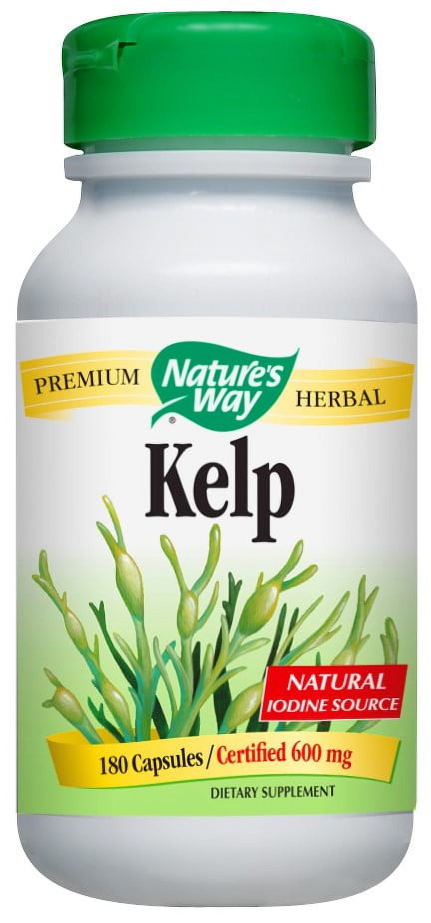 Nature's Way Kelp Capsule, 180 Count - Walmart.com