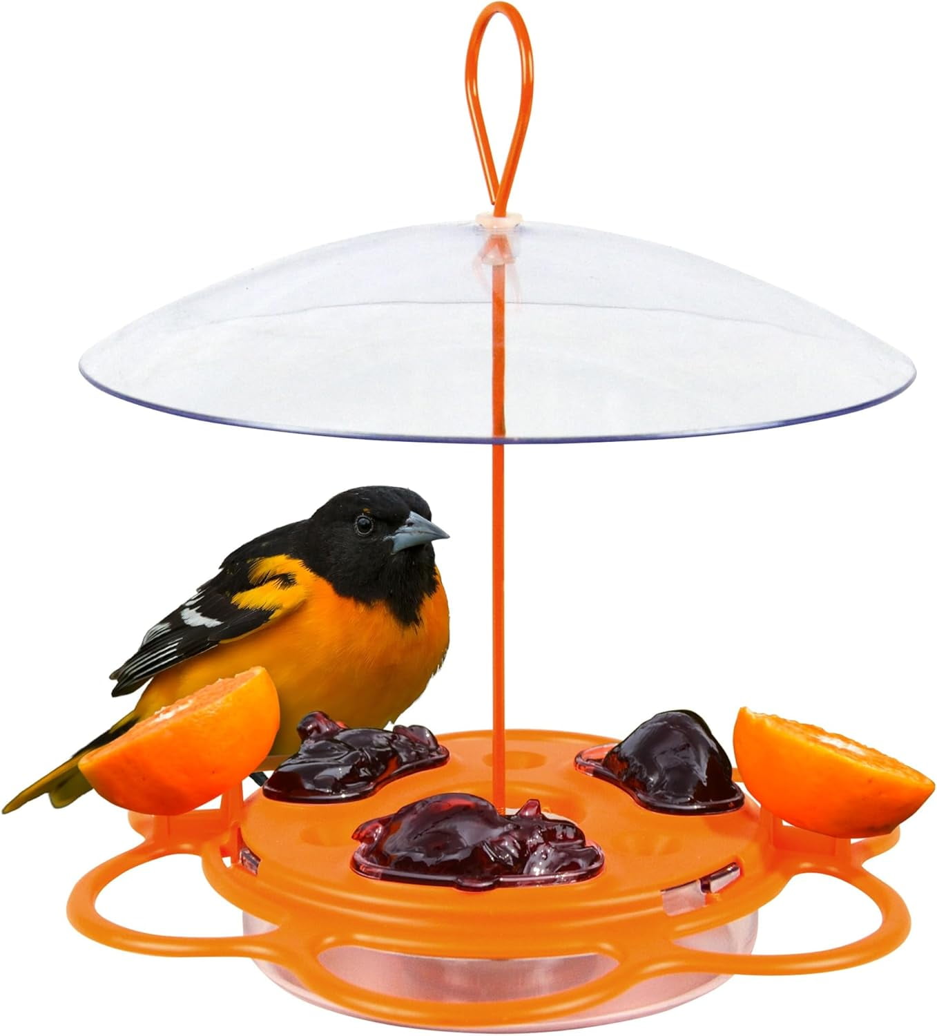 Nature's Way OFP1 All-in-One Oriole Buffet Bird Feeder, Orange ...