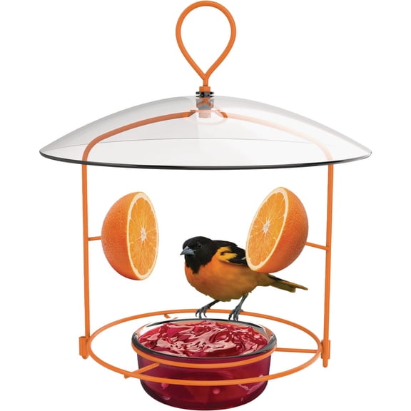 Nature's Way Wire Oriole Feeder with Protective Baffle, Orange