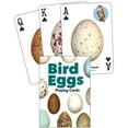 thumbnail image 1 of Nature's Wild Cards Bird Eggs Playing Cards, (Hardcover), 1 of 1