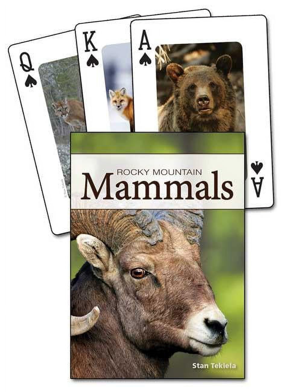 Nature's Wild Cards: Mammals of the Rocky Mountains Playing Cards ...