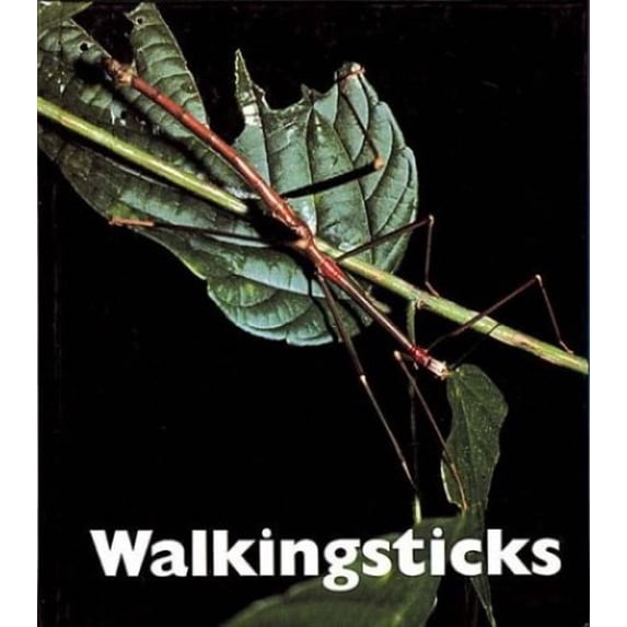 Pre-Owned Walkingsticks (Naturebooks) (Unknown) 1567663834 9781567663839