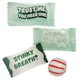 thumbnail image 1 of Naturejam Fresh Breath Bulk Peppermints – Trust Me You Need One Breathmint – 100ct Peppermints Individually Wrapped - Funny Mini Breath Mints - Perfect Dinner Mints for Parties and Gatherings, 1 of 5