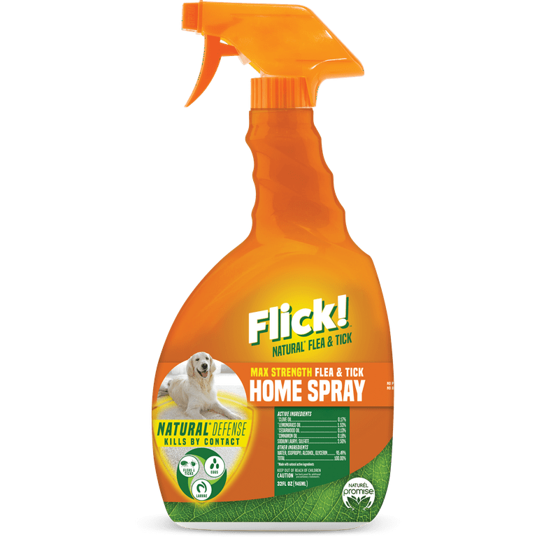 Homemade flea outlet spray for dogs