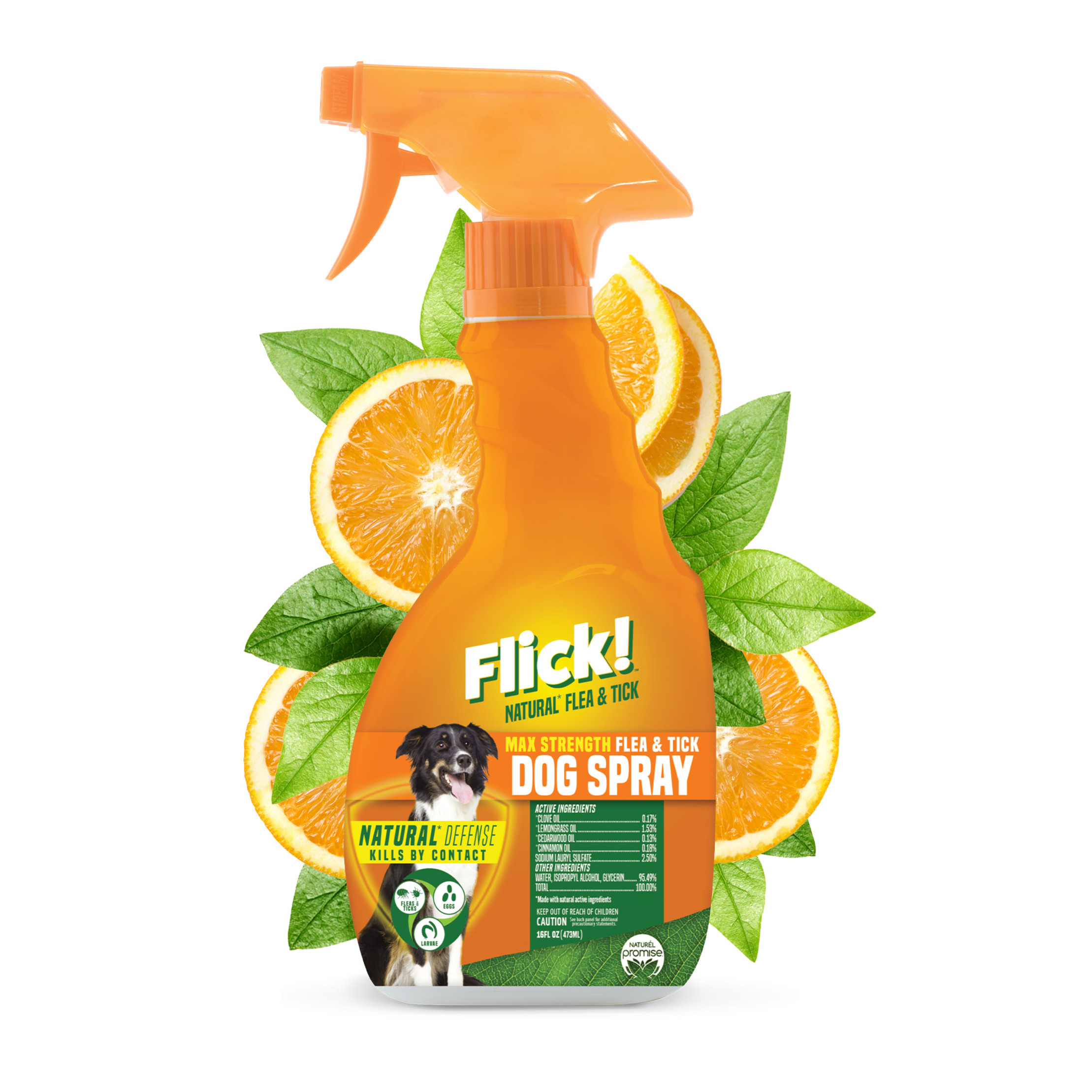 mini-birds-raid-indoor-raid-cockroach-for-outside-spray-concentrate