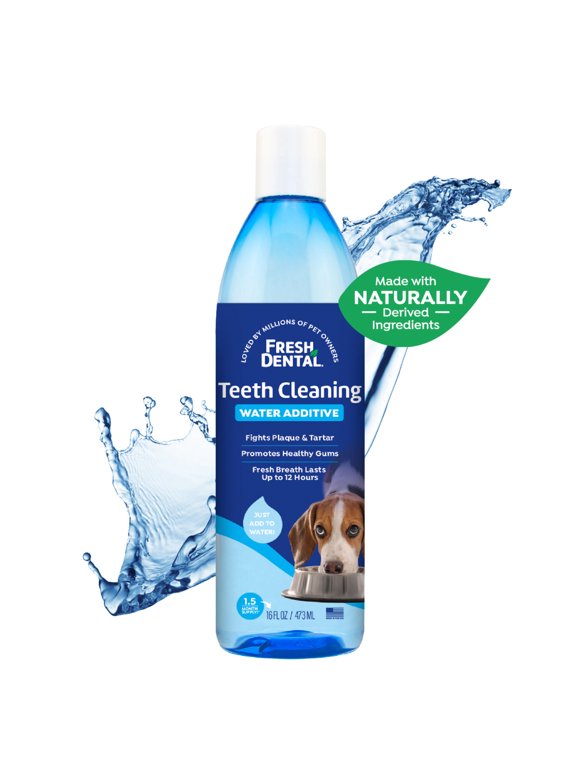 Dog Dental Care in Dog Health and Wellness