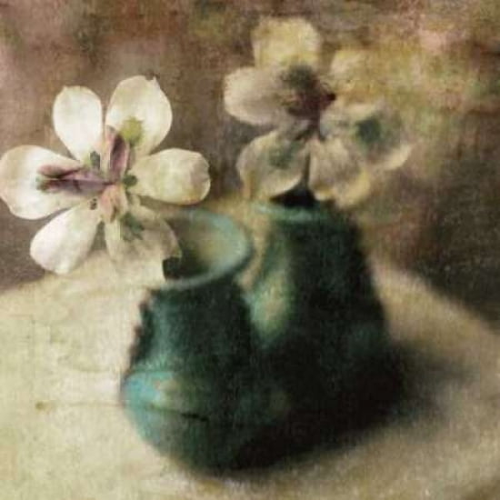 Natures Blossoms IV Canvas Art - Susan Friedman (24 x 24)