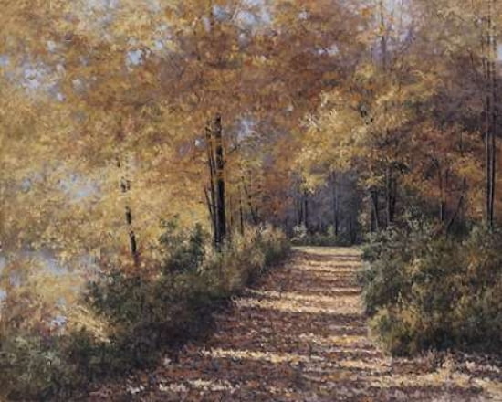 Natures Colors Canvas Art - Diane Romanello (24 x 30)
