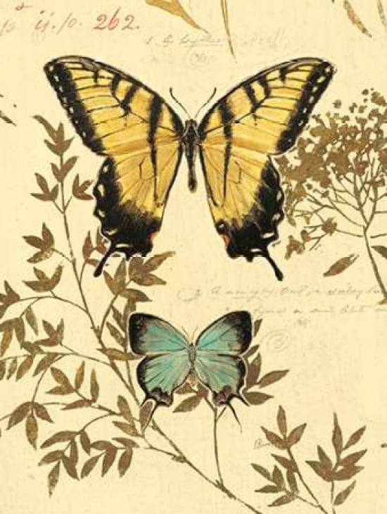 Natures Curiosities 6 Canvas Art - Chad Barrett (22 x 28)