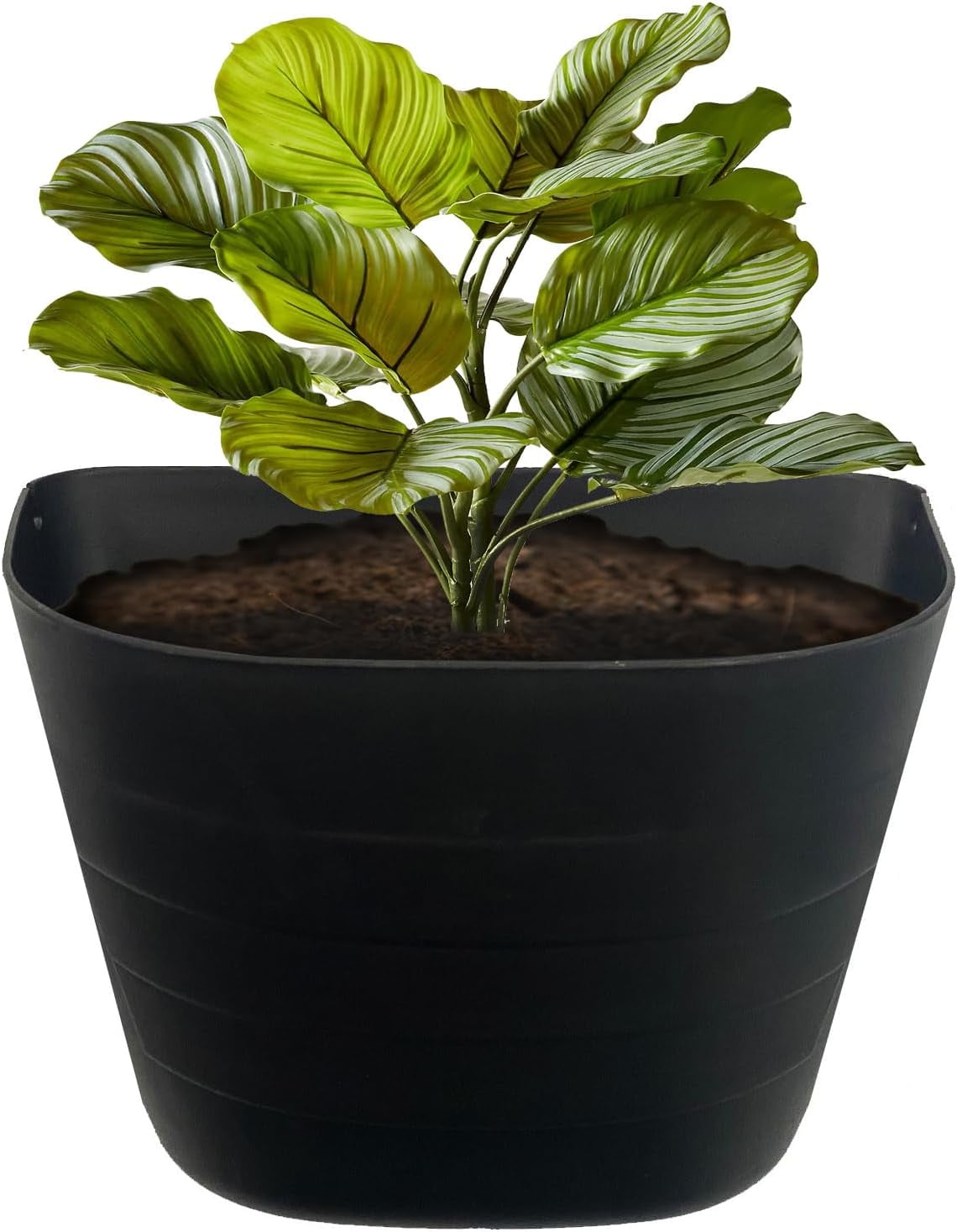 Black 12" Self-Watering Wall Planter for Indoor/Outdoor Use