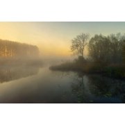 Natures Painting Poster Print - Ellen Borggreve 24 x 15