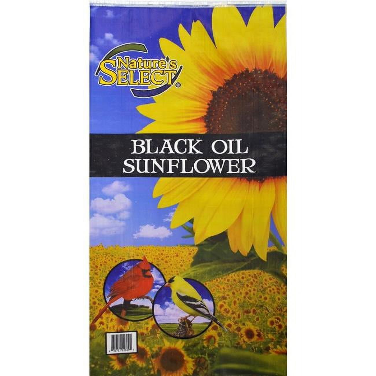 Natures Select Ingredients 001810 40 lbs Black Oil Sunflower Seed