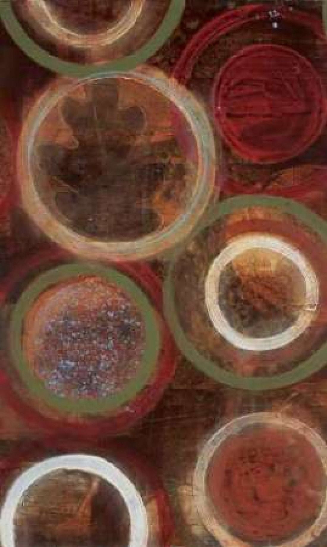 Natures Spheres I Canvas Art - Leslie Bernsen (12 x 18)