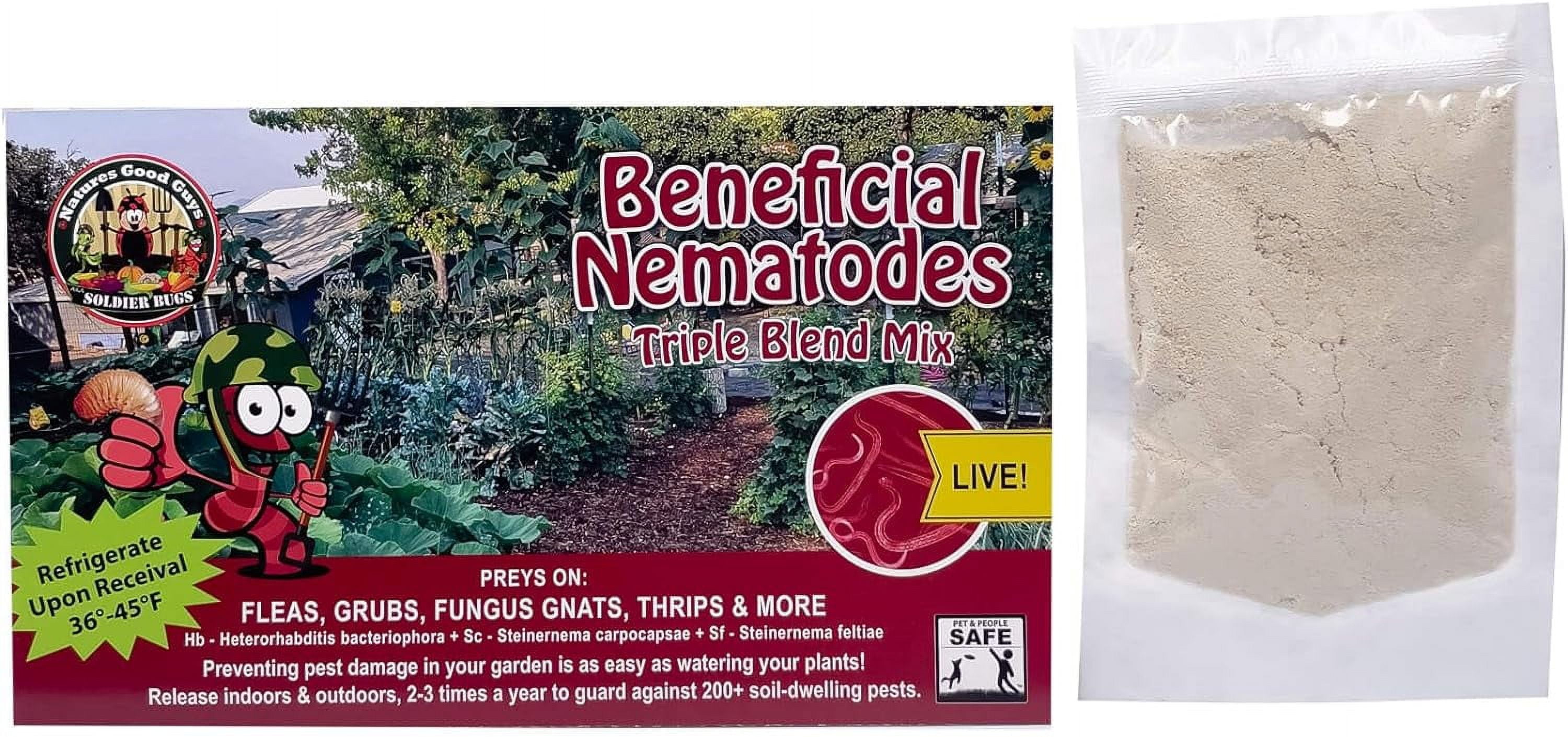 NaturesGoodGuys Beneficial Nematodes Triple Blend Pack HB+SC+SF (5