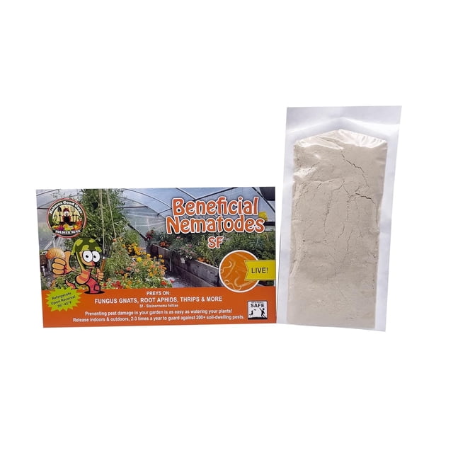 NaturesGoodGuys SF Nematodes, Steinernema feltiae 50 Million, Natural ...
