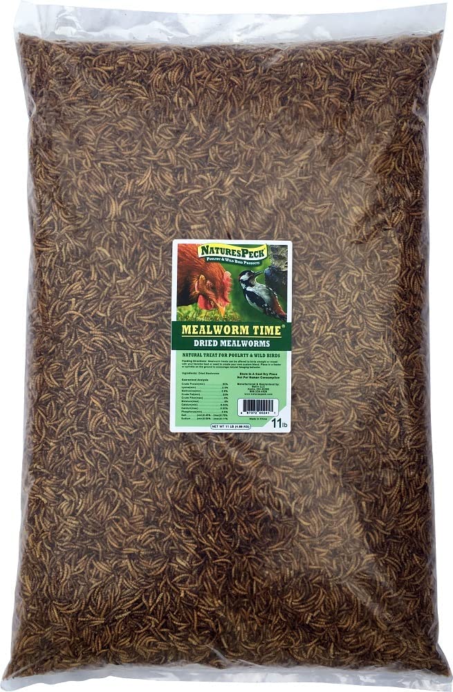 NaturesPeck® Mealworm Time® Dried Mealworms (22 lbs) NonGMO