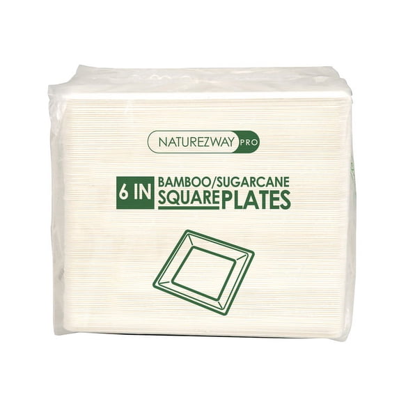 6" Compostable Plates (500 Pack) | Eco-Friendly for Institutional Use