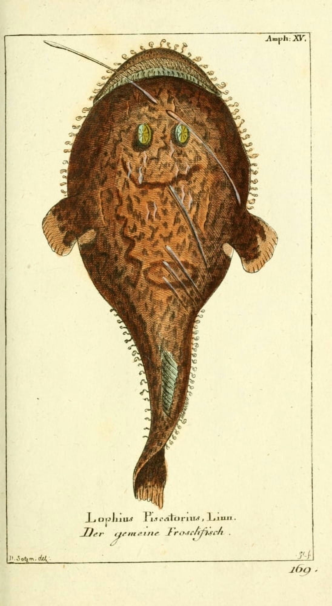 Naturgeschichte des Thierreichs 1780 Angler Canvas Art - Daniel Sotzmann (18 x 24)