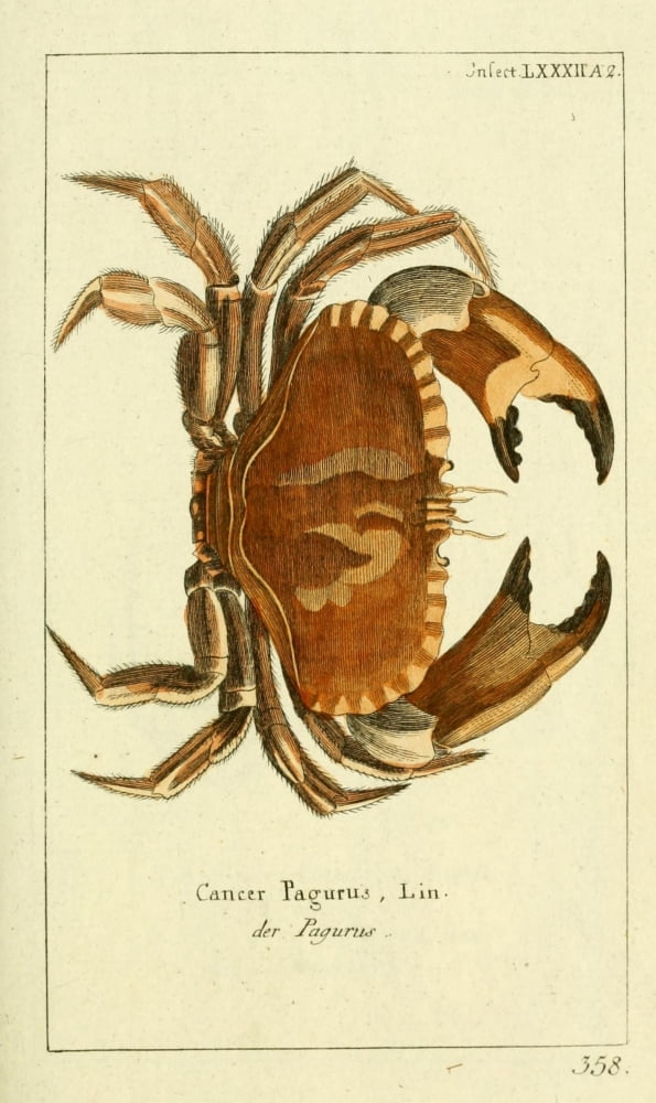 Naturgeschichte des Thierreichs 1780 Crab Canvas Art - Daniel Sotzmann (18 x 24)