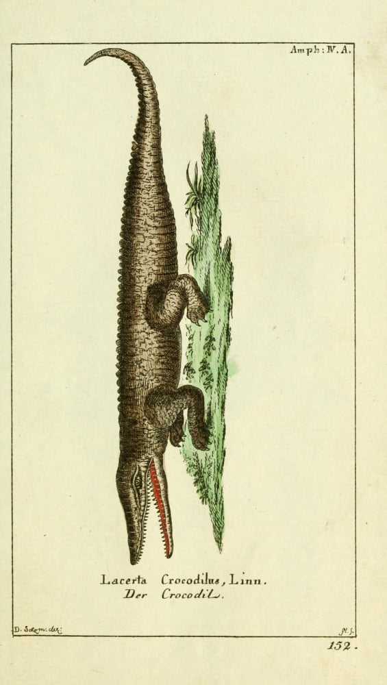 Naturgeschichte des Thierreichs 1780 Crocodile Canvas Art - Daniel Sotzmann (18 x 24)