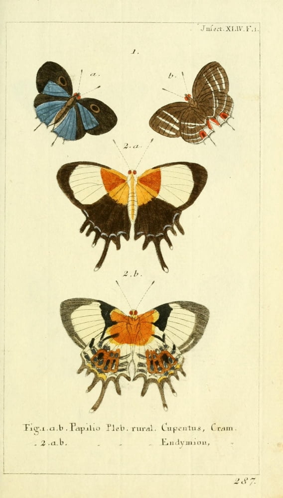 Naturgeschichte des Thierreichs 1780 Papilio Pleb Canvas Art - Daniel Sotzmann (24 x 36)
