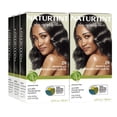 thumbnail image 1 of Naturtint 2N Brown Black Permanent Hair Color, 6 Pack (Packaging May Vary), 1 of 7