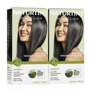 Naturtint Permanent Hair Color 1N Ebony Black - Pack of 2