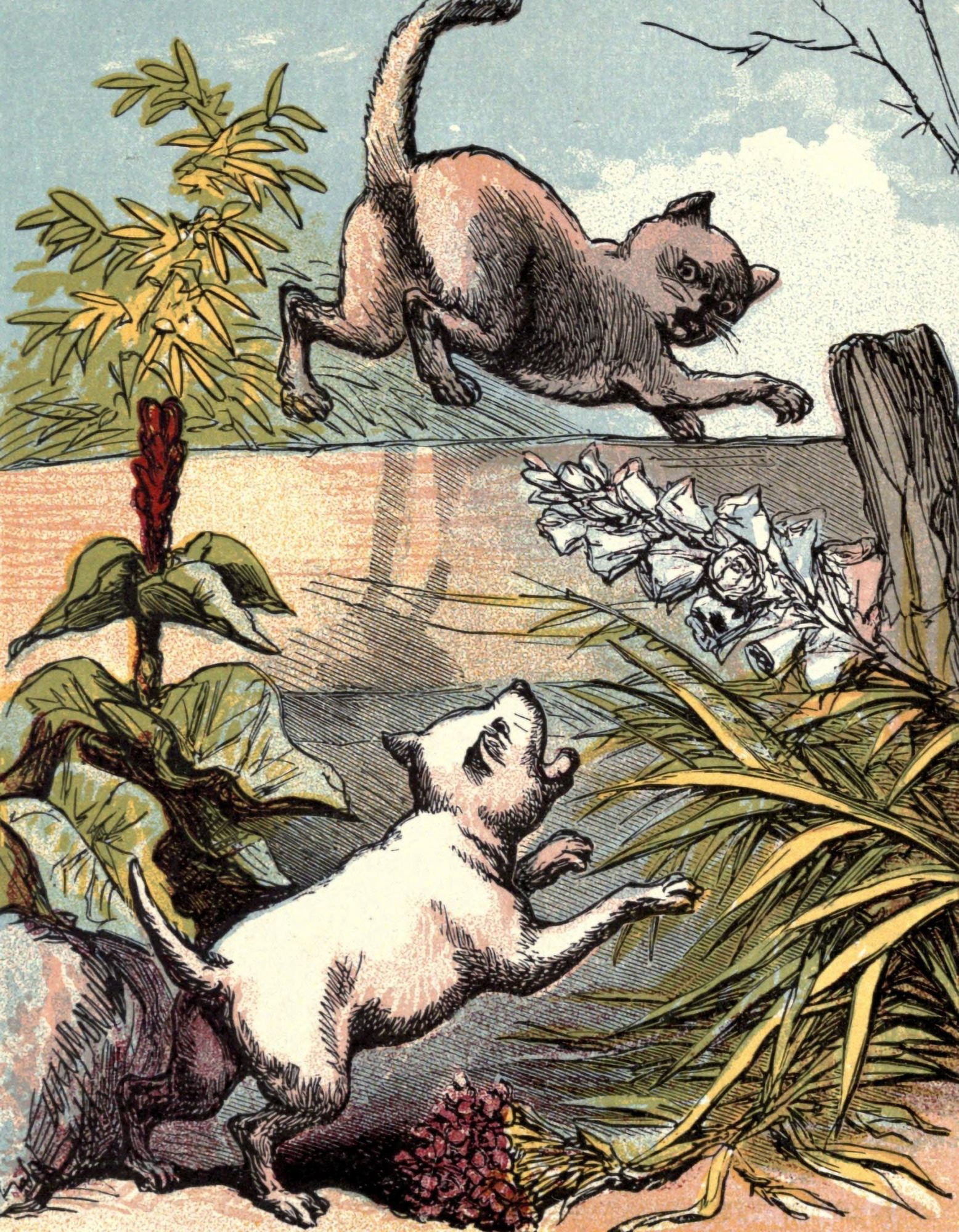 Naughty Puppies 1870 Dog chasing cat Canvas Art - Unknown (24 x 36)