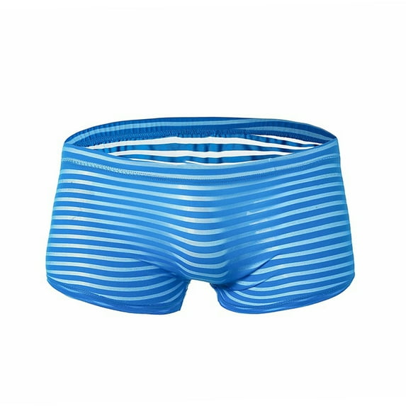 Naughtyhood Men's Sexy Underwear Men's Striped Underwear Low Waisted Sexy And Funny Mesh Underwear Briefs Pants Comfy Panties the Perfect Gift for Men Pretty Panties for Men