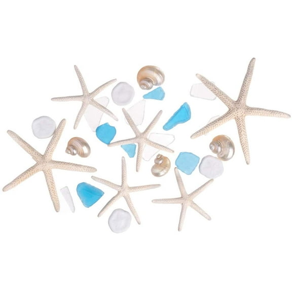Nautical Assortment 25 Pieces | White Finger Starfish | Sea Biscuit | Aqua Blue Sea Glass | Clear Sea Glass | Pearlized Turbo Shells | Shells for Crafts