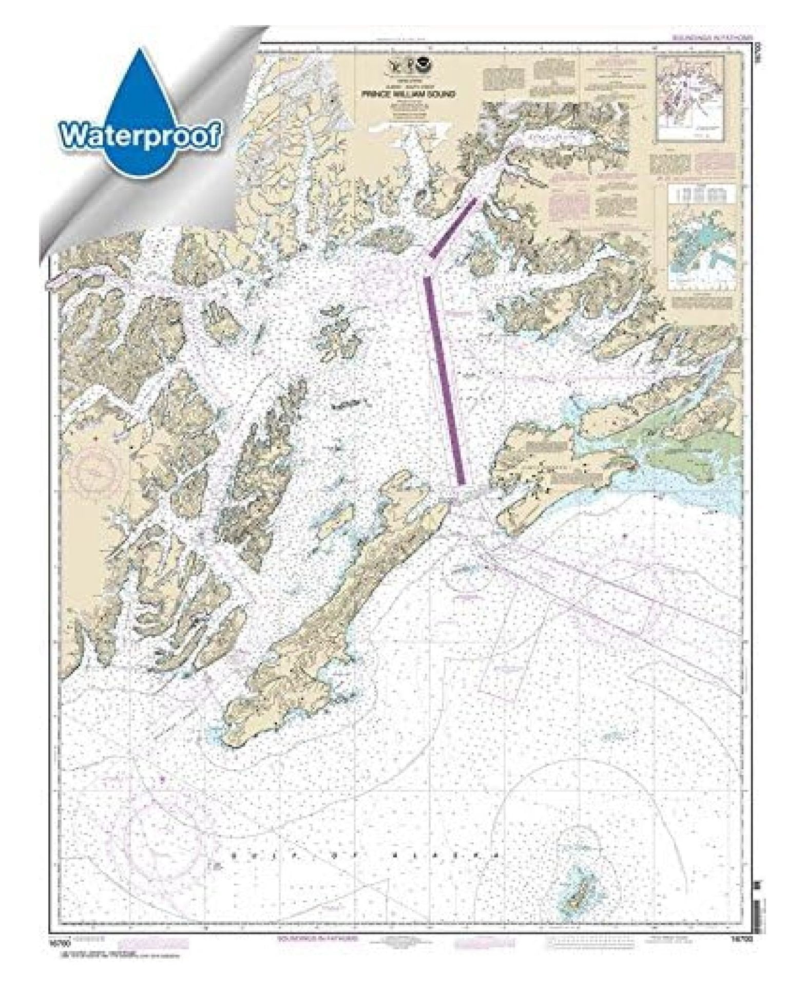 Nautical Chart 16700: William Sound 35.6 x 45.8 inches (Waterproof, Full Color, Premium Glossy)
