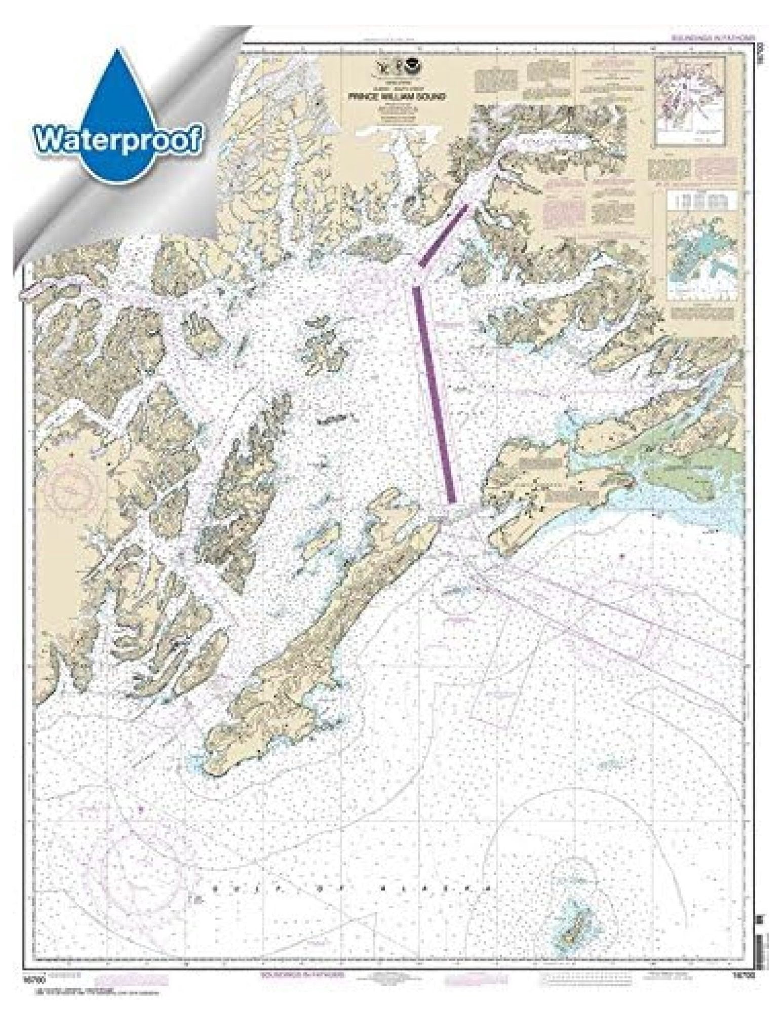 Nautical Chart 16700: William Sound 35.6 x 45.8 inches (Waterproof, Full Color, Premium Glossy)