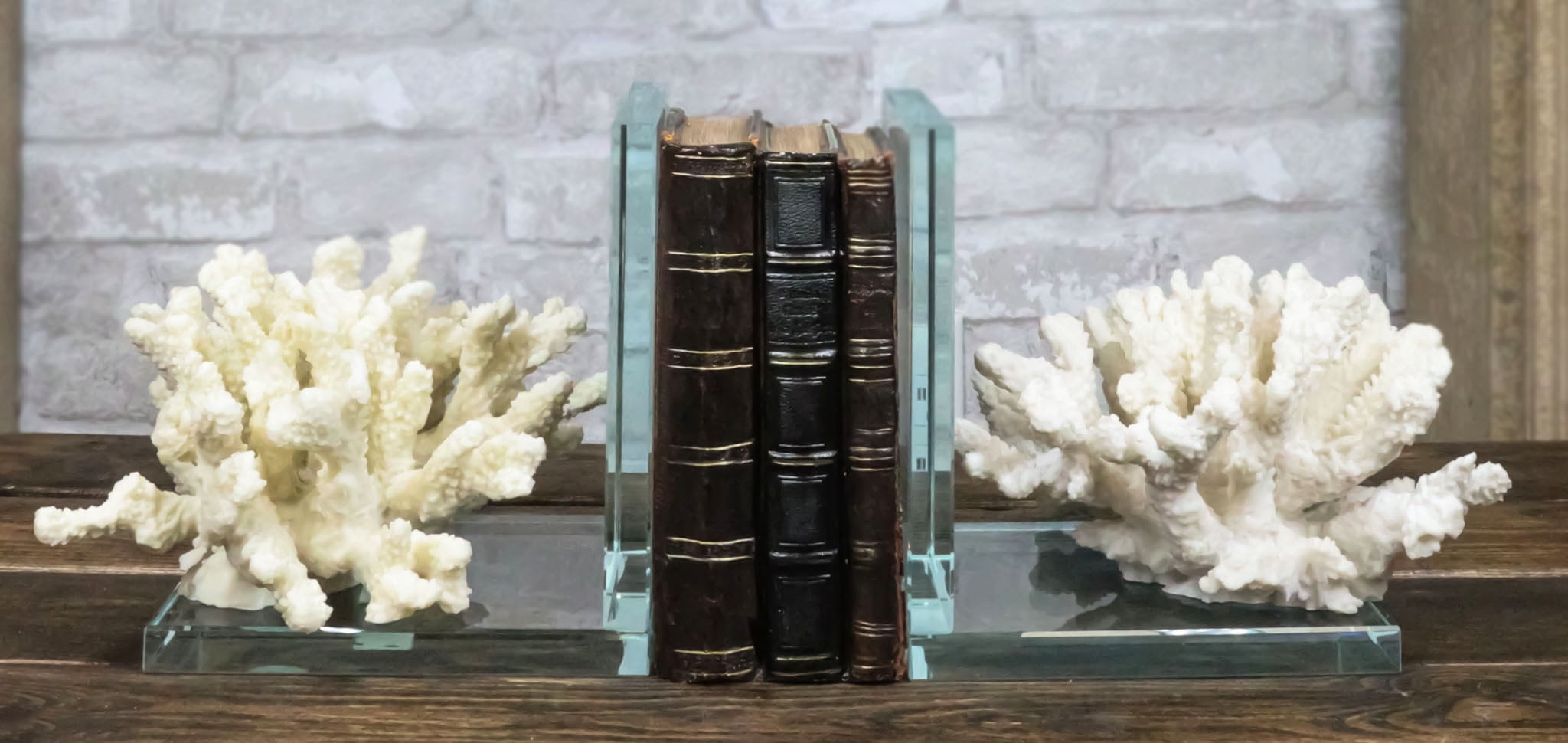 Nautical Coastal Marine White Sea Finger Corals Acrylic Glass Bookends ...