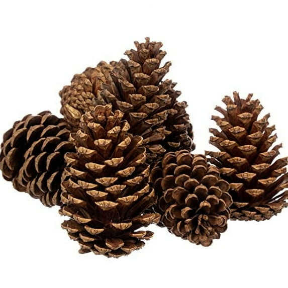 Nautical Crush Trading Cinnamon Scented Pine Cones Decoration, Set of 8