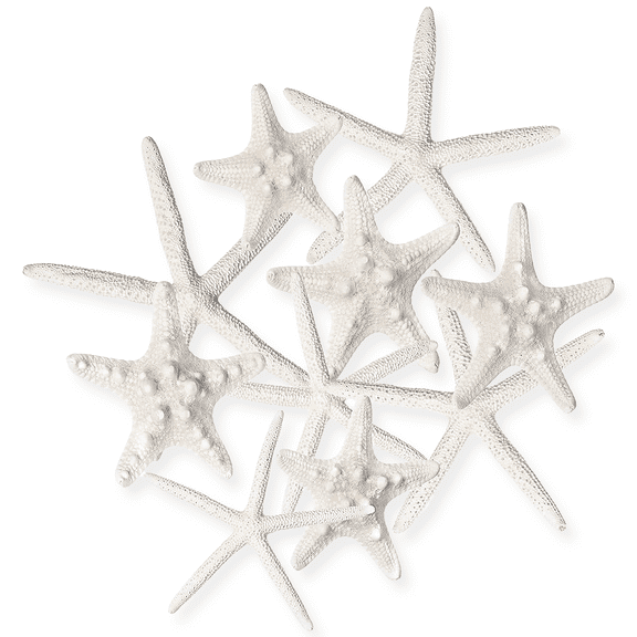 Nautical Crush Trading Nautical Beach Wedding Starfish Wall Decor, Set of 10