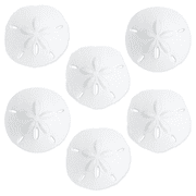 Nautical Crush Trading Sand Dollar Real Sand Dollars 2 1/2 to 3 Set of 6 Sand Dollar Shells