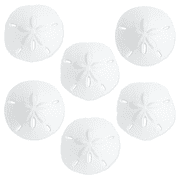 Nautical Crush Trading Sand Dollar Real Sand Dollars 2 1/2" to 3" Set of 6 Sand Dollar Shells