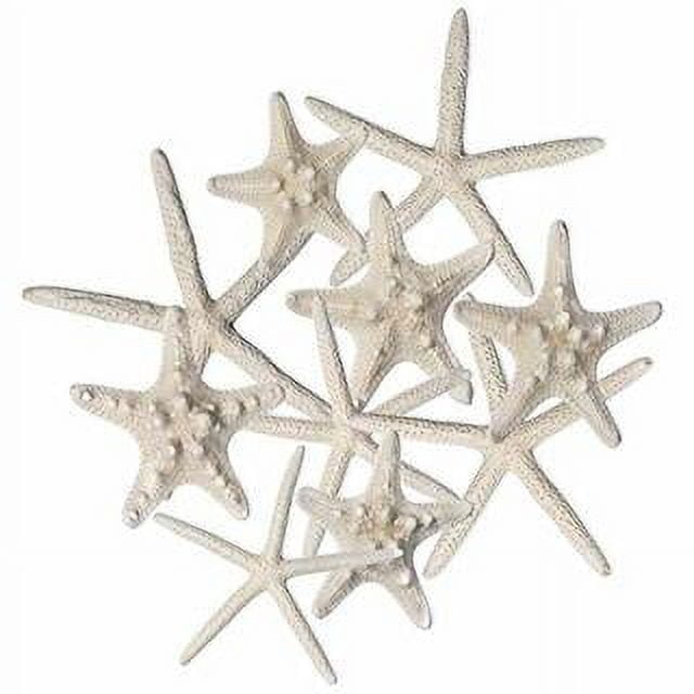 Nautical Crush Trading - Starfish for Crafts - White Starfish Wall Décor -  Beach Starfish Décor - 10 Pack Assorted Star Fish 2-6 inch 