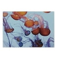 thumbnail image 1 of Nautical Cutting Board, Colorful Jellyfish in Ocean Seaside Waterdrop Detailed Composition Sea Life, Decorative Tempered Glass Cutting and Serving Board, Small Size, Pale Blue Rust, by Ambesonne, 1 of 1