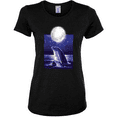 thumbnail image 1 of Nautical Full Moon Bottlenose Dolphin Animal Lover Womens Graphic T-Shirt, 1 of 1