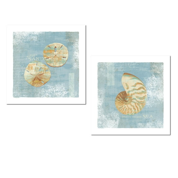 Nautical Light Blue and White Sand Dollar and Nautilus Adult Coastal Decor; 2 - 12" x 12" Unframed Posters