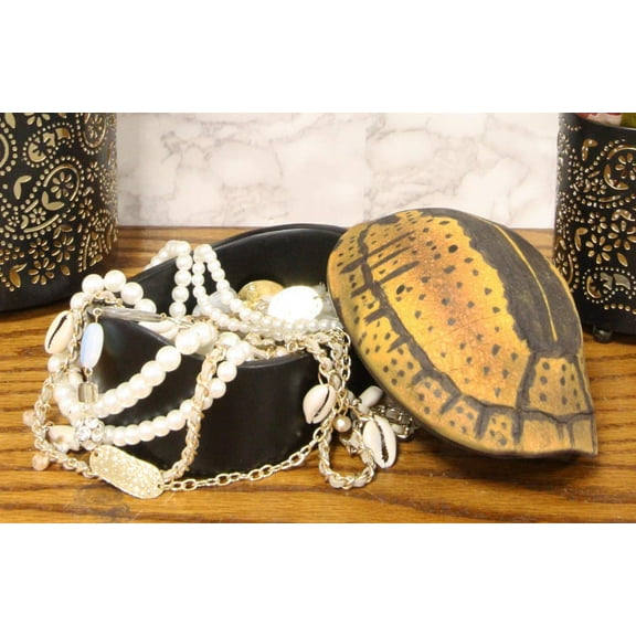 Nautical Reptile Realistic Spotted Tortoise Shell Decorative Box Figurine 6.25"L