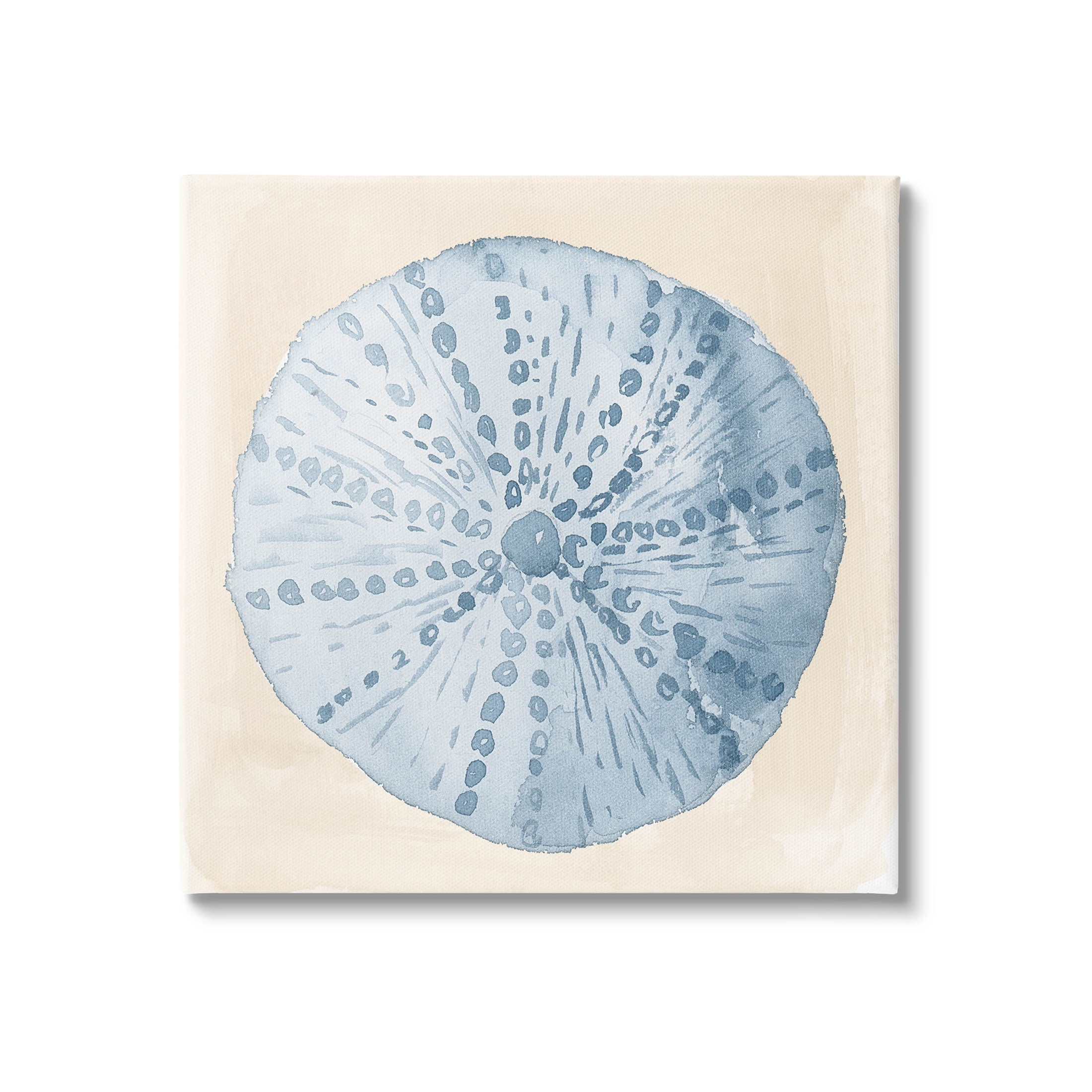 Nautical Sea Life Round Shell Animals & Insects Graphic Art Gallery Wrapped Canvas Print Wall Art
