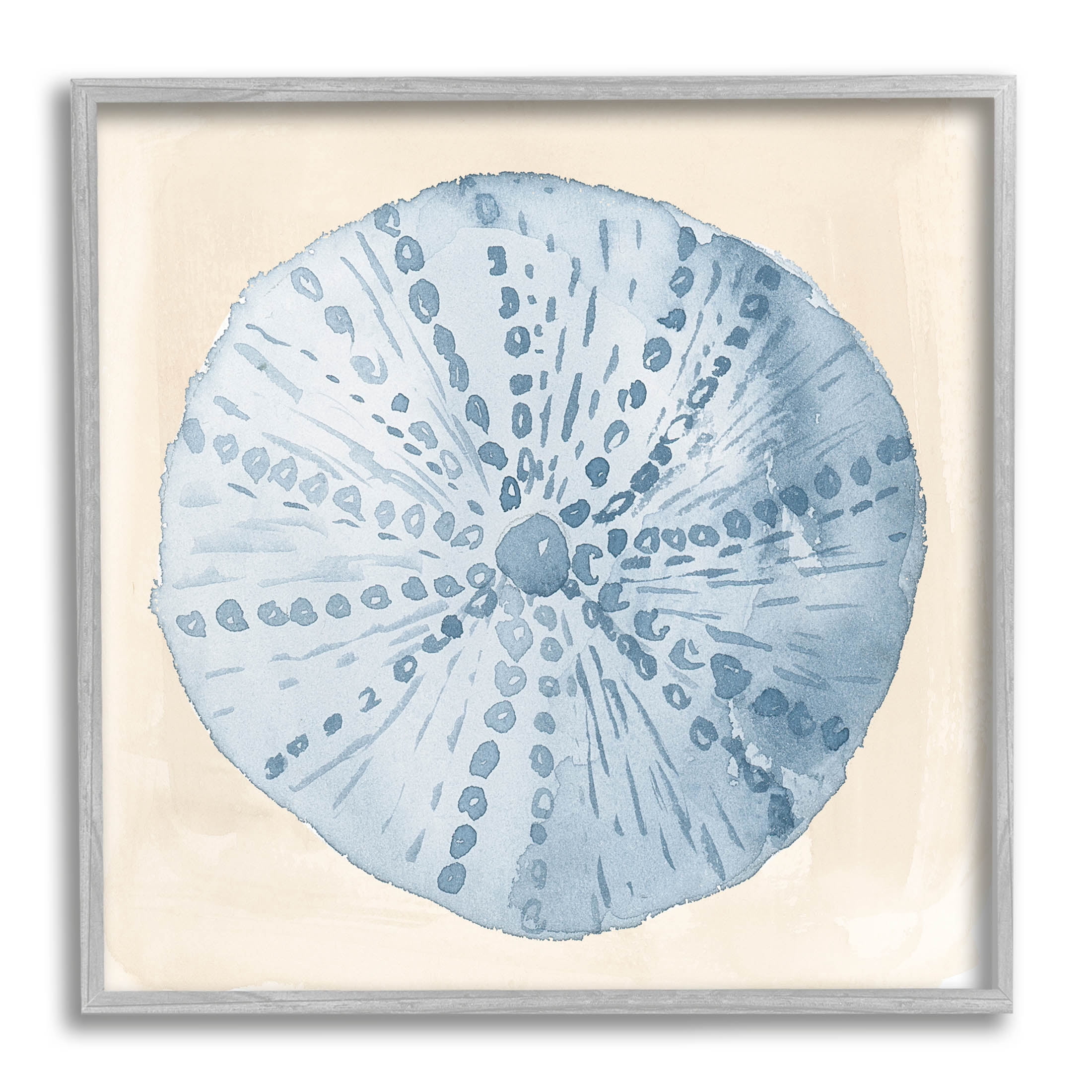 Nautical Sea Life Round Shell Animals & Insects Graphic Art Gray Framed Art Print Wall Art